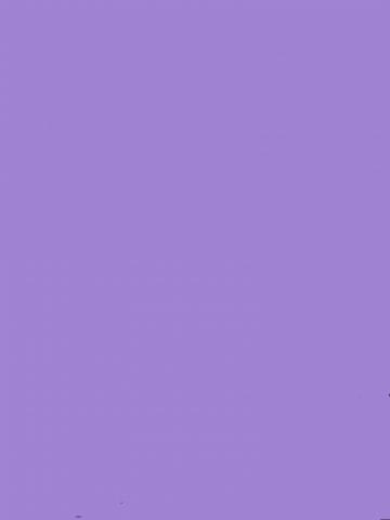 София Лучшая Подружка фото 2